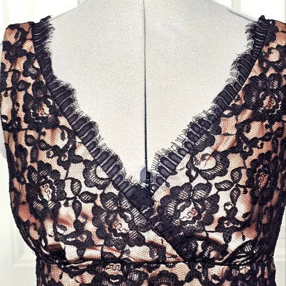 Classy Eliza J New York Black Lace & Nude Champagne Elegant Lady Cocktail Dress - Picture 2 of 15